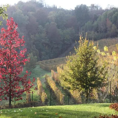 Mansion In Langhe Hills With Pool