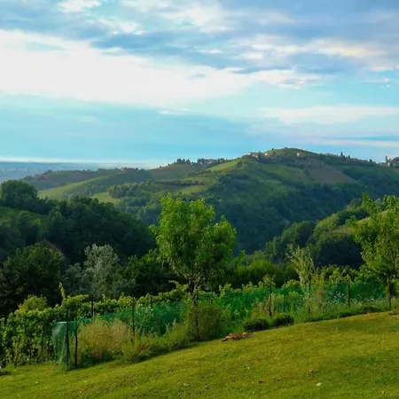 Mansion In Langhe Hills With Pool Сasa de vacaciones *