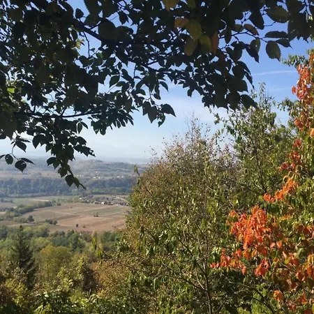 Mansion In Langhe Hills With Pool *